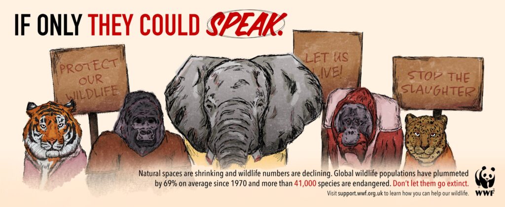 Alexa Ng - WWF Campaign Artwork